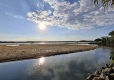 Noosa Woods