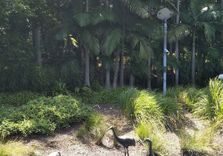 Banyan Lawn