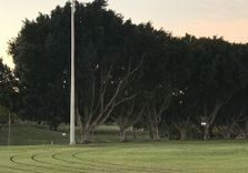 Jacaranda Trees Park