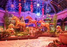 Bellagio Conserv...