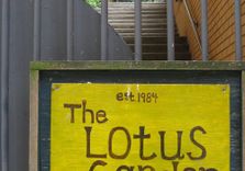 Lotus Garden