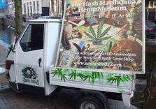 Hash Marihua...