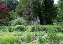Alter Botanis...