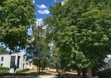 Parc Van Gogh