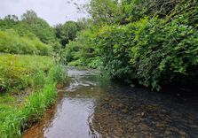 Daisy Nook Country...