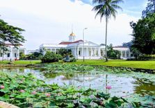 Bogor Botanic...