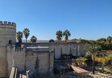 Alcázar de Jerez d...