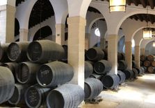 Bodega Tio Pepe