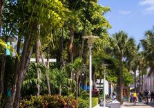 Lincoln Road
