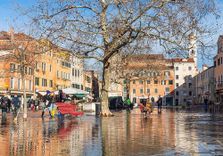 Campo Santa M...
