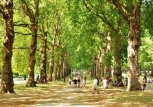 Green Park