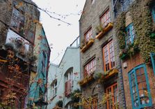 Neal's Yard