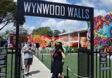 Wynwood Walls