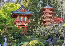 Japanese Tea Garden