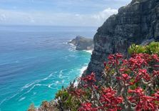 New Cape Point L...