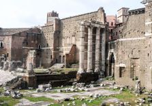 Nerva's Forum