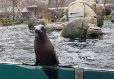 Central Park Zoo