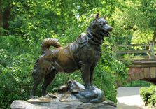 Balto