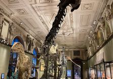 Museum of Natural...