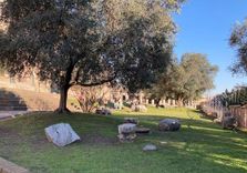Arch of Titus
