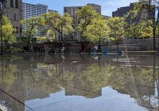 Peavy Plaza