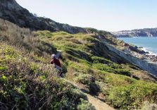 Golden Gate Park