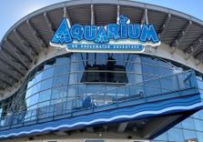 Downtown Aquariu...