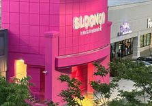 Sloomoo Institu...