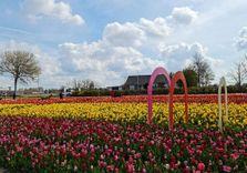 The Tulip Barn