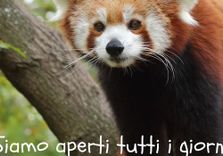 Pistoia Zoologi...