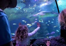 SEA LIFE Manchester