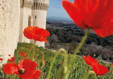 Fort Saint-A...
