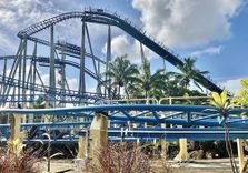 Sea World Gold Coast