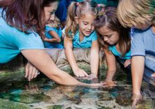 SEA LIFE San Ant...