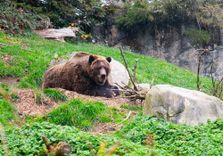 Woodland Park Zoo