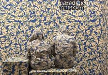 Paradox Museum ...