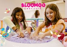 Sloomoo Institu...