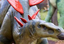 National Dinosau...