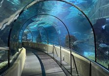 Barcelona Aquarium