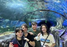 SEA LIFE Sydney ...