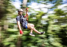 Treetop Challen...