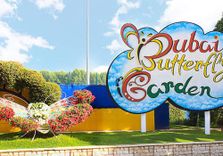 Dubai Butterf...