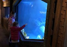 Amnéville Aquarium