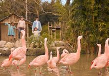 ZooParc Overloon