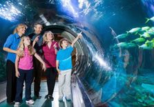 SEA LIFE Orlando