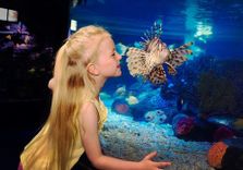 SEA LIFE Blanken...