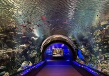 New York Aquarium