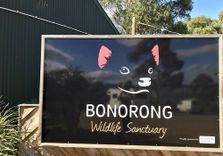 Bonorong Wildlif...