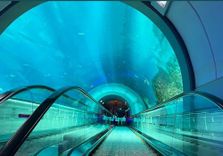 SeaWorld Abu Dhabi