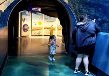 SEA LIFE Melbour...